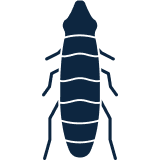 Fleas & Ticks